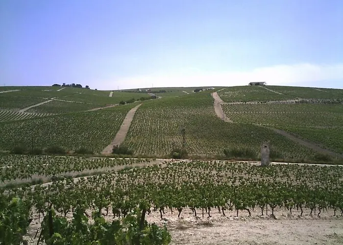 Vina Santa Petronila Torre ヘレス