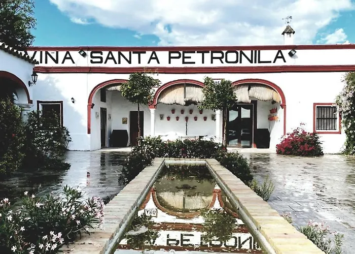Vina Santa Petronila Torre * ヘレス