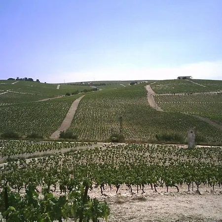 Vina Santa Petronila Torre Jerez de la Frontera